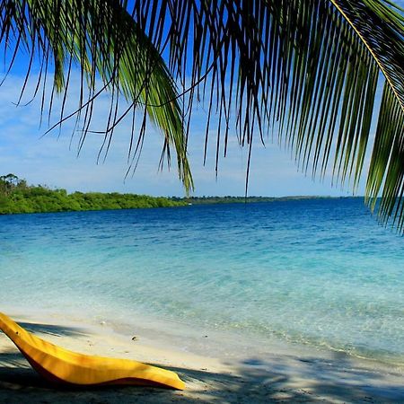 Coconut Hostel Bocas Town 외부 사진