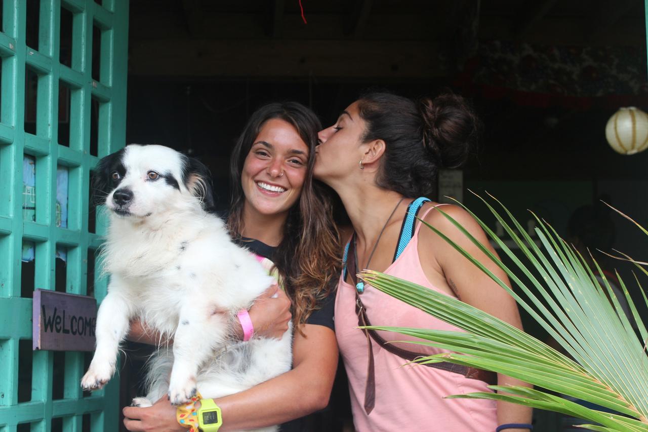 Coconut Hostel Bocas Town 외부 사진