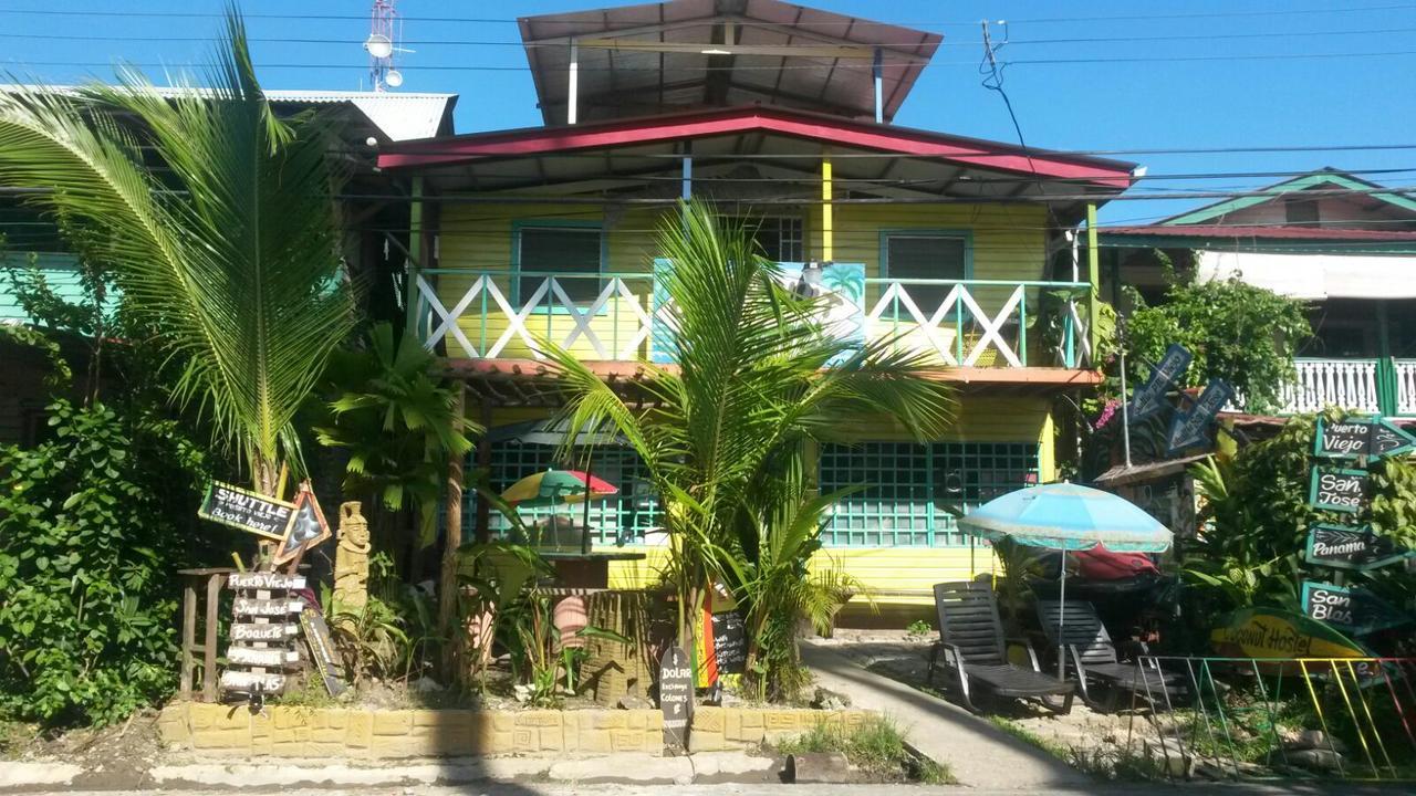 Coconut Hostel Bocas Town 외부 사진