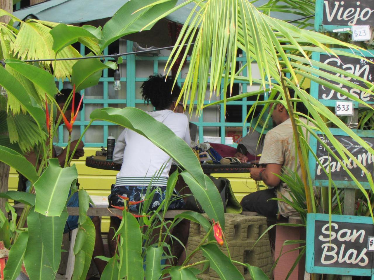 Coconut Hostel Bocas Town 외부 사진