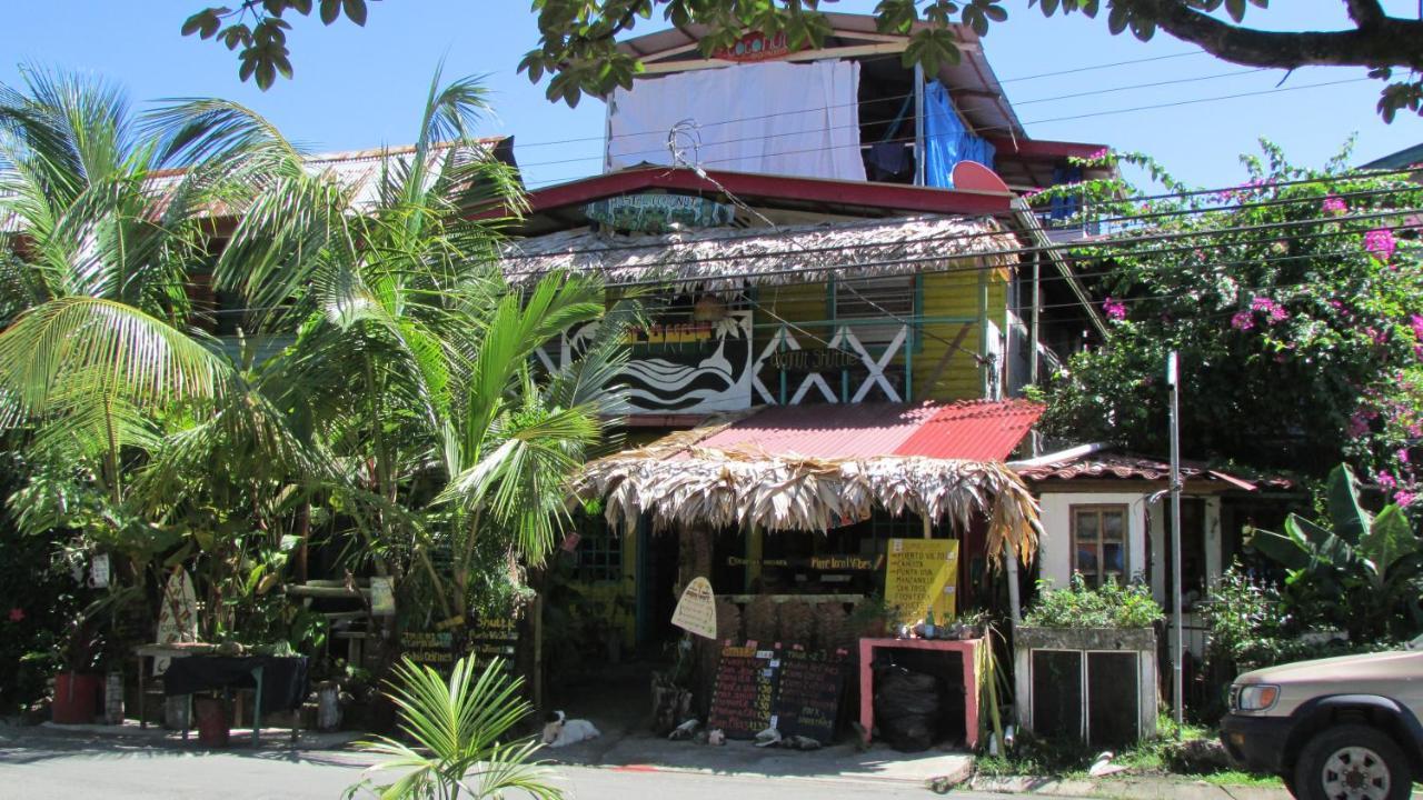 Coconut Hostel Bocas Town 외부 사진
