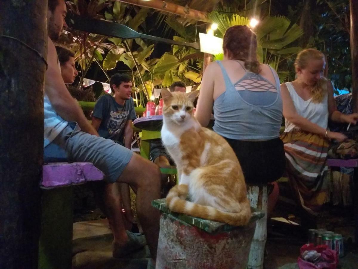 Coconut Hostel Bocas Town 외부 사진