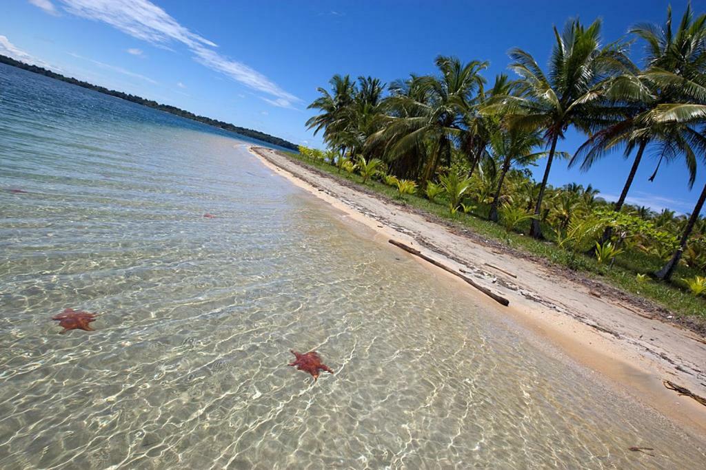 Coconut Hostel Bocas Town 외부 사진