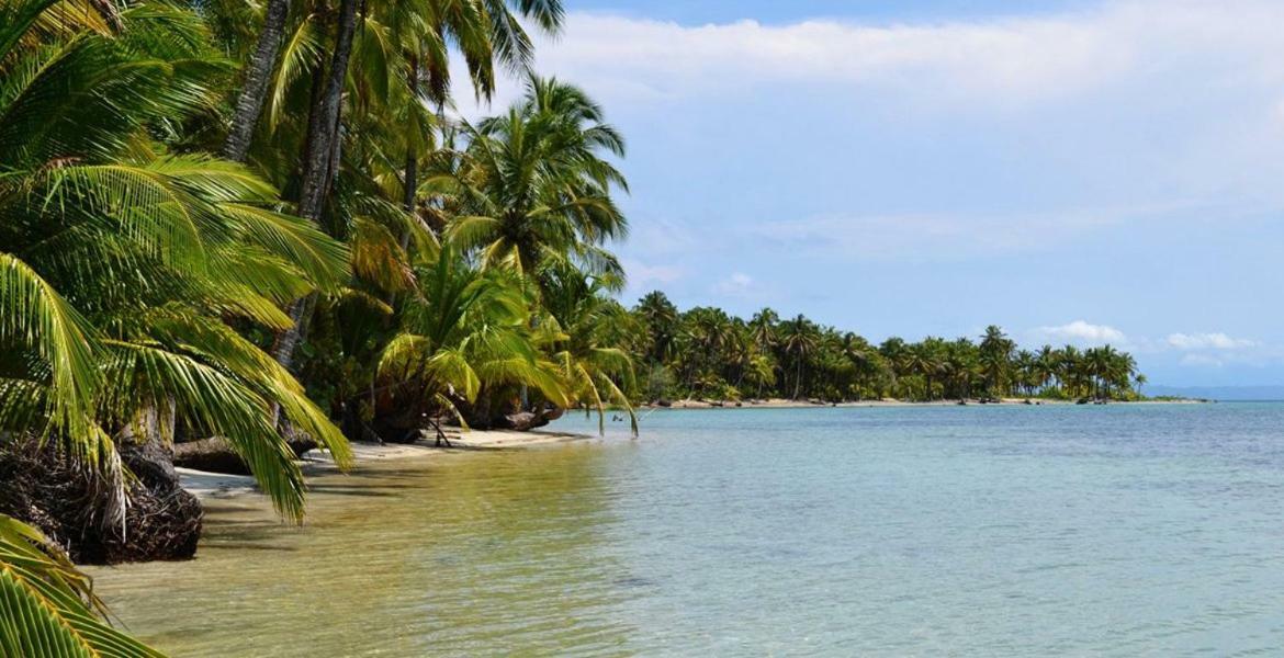 Coconut Hostel Bocas Town 외부 사진
