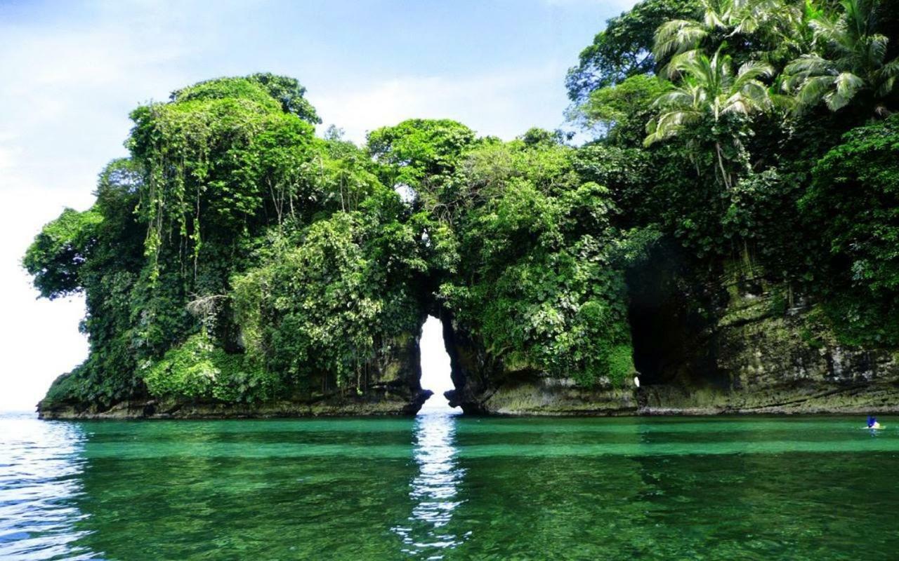 Coconut Hostel Bocas Town 외부 사진