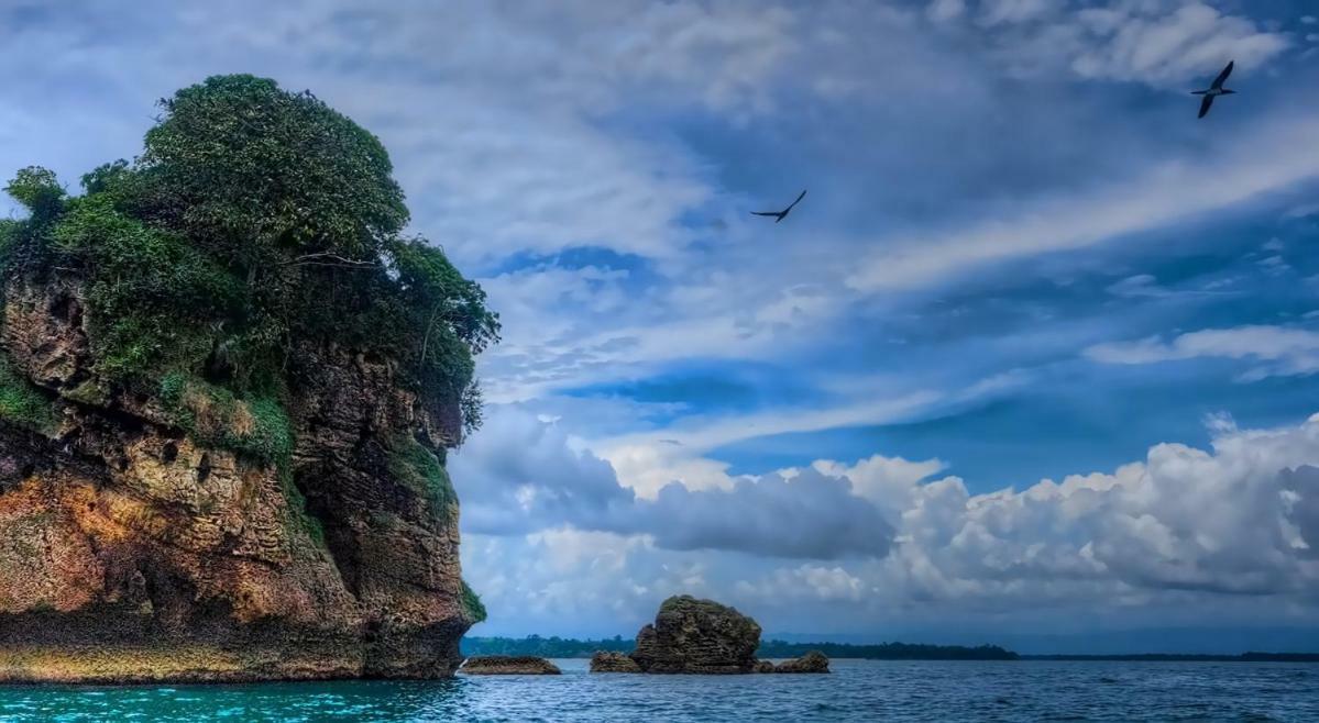 Coconut Hostel Bocas Town 외부 사진