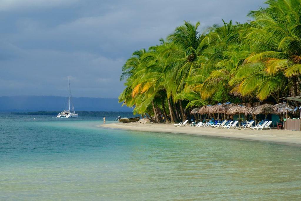 Coconut Hostel Bocas Town 외부 사진