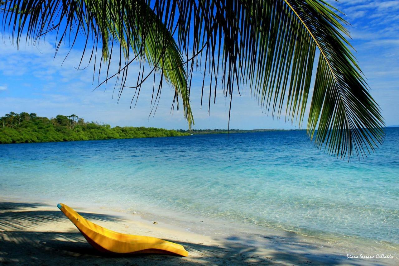 Coconut Hostel Bocas Town 외부 사진