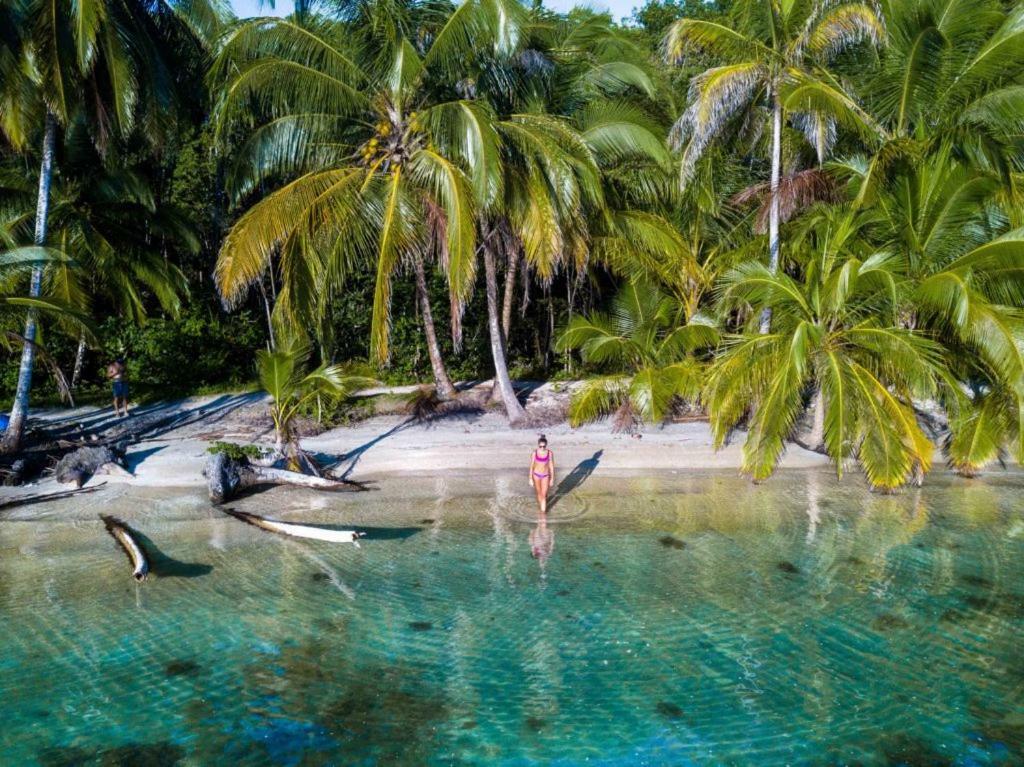 Coconut Hostel Bocas Town 외부 사진